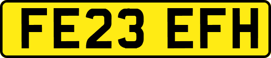 FE23EFH