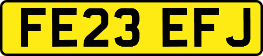 FE23EFJ