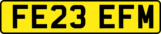 FE23EFM