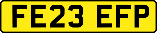 FE23EFP