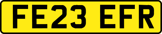 FE23EFR