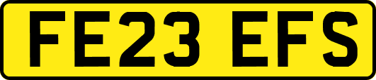 FE23EFS