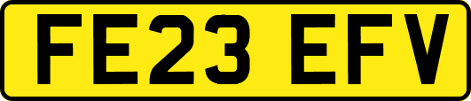 FE23EFV