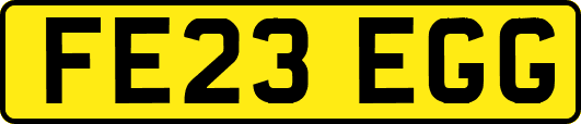 FE23EGG