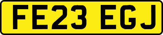 FE23EGJ