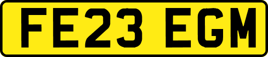 FE23EGM