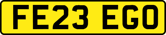 FE23EGO