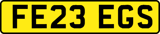 FE23EGS