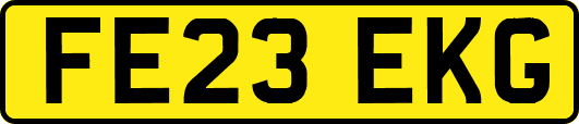 FE23EKG