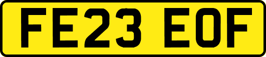 FE23EOF