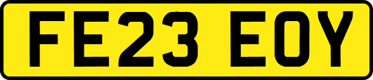 FE23EOY