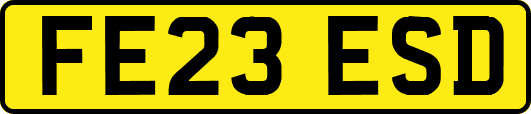FE23ESD