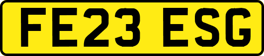 FE23ESG