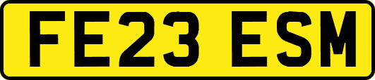 FE23ESM