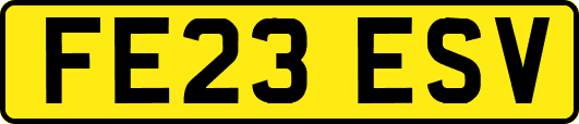 FE23ESV