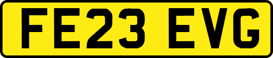 FE23EVG