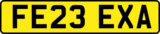 FE23EXA