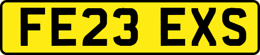 FE23EXS