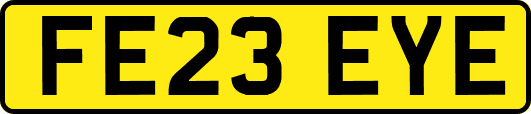 FE23EYE