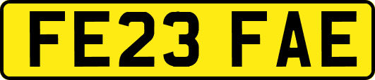 FE23FAE