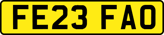 FE23FAO