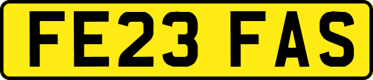FE23FAS