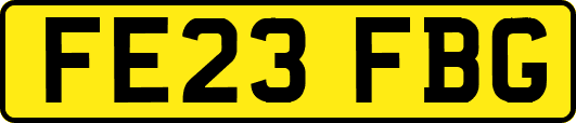 FE23FBG