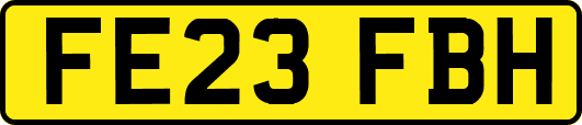 FE23FBH