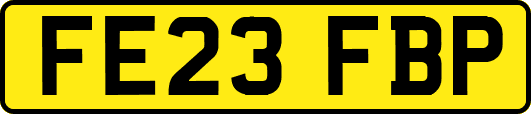 FE23FBP