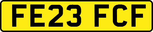 FE23FCF