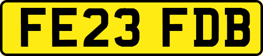 FE23FDB