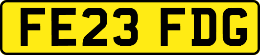 FE23FDG