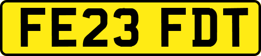 FE23FDT