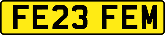 FE23FEM