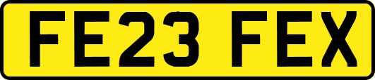FE23FEX