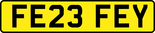 FE23FEY