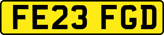 FE23FGD