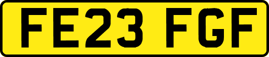 FE23FGF