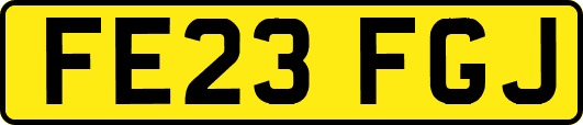 FE23FGJ