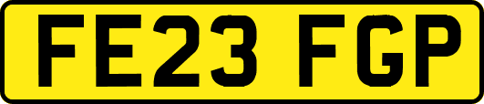 FE23FGP