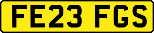 FE23FGS