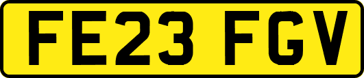 FE23FGV