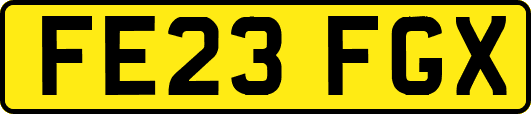 FE23FGX