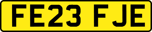 FE23FJE