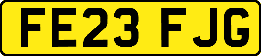 FE23FJG