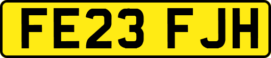 FE23FJH