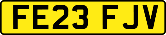 FE23FJV