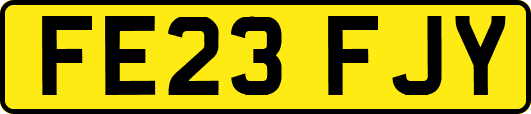 FE23FJY
