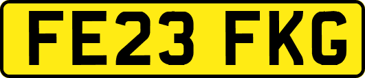 FE23FKG