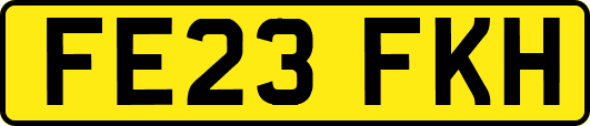 FE23FKH